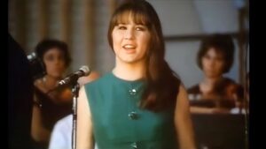 The Seekers – “Georgy Girl” (1966)