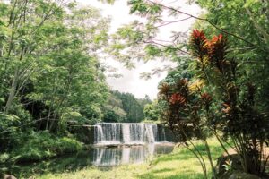 This Hike on Kauaʻi Is a Walk Through an Enchanted Forest