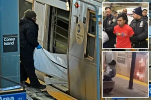 INVASION USA — TRAGIC DEMISE — EXCLUSIVE: Cops identify NJ woman as mystery straphanger torched to death in horrific NYC subway attack by illegal alien