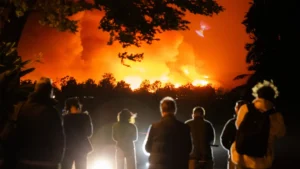 BURNING ANGER: California’s government is failing voters with ‘total mismanagement’ of wildfires, says researcher